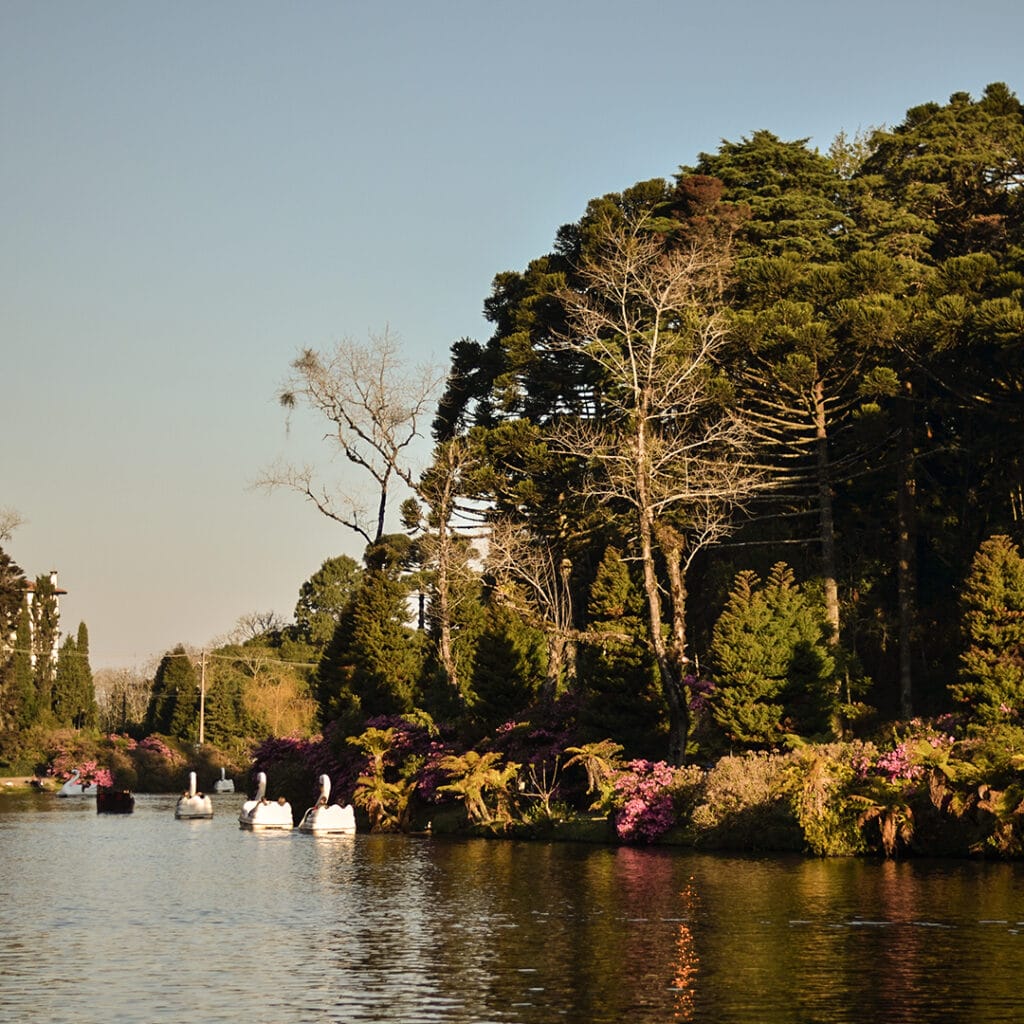 Lago Negro
