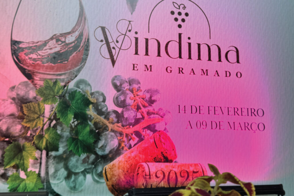 Vindima em Gramado